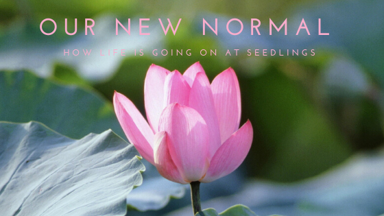 Our new normal