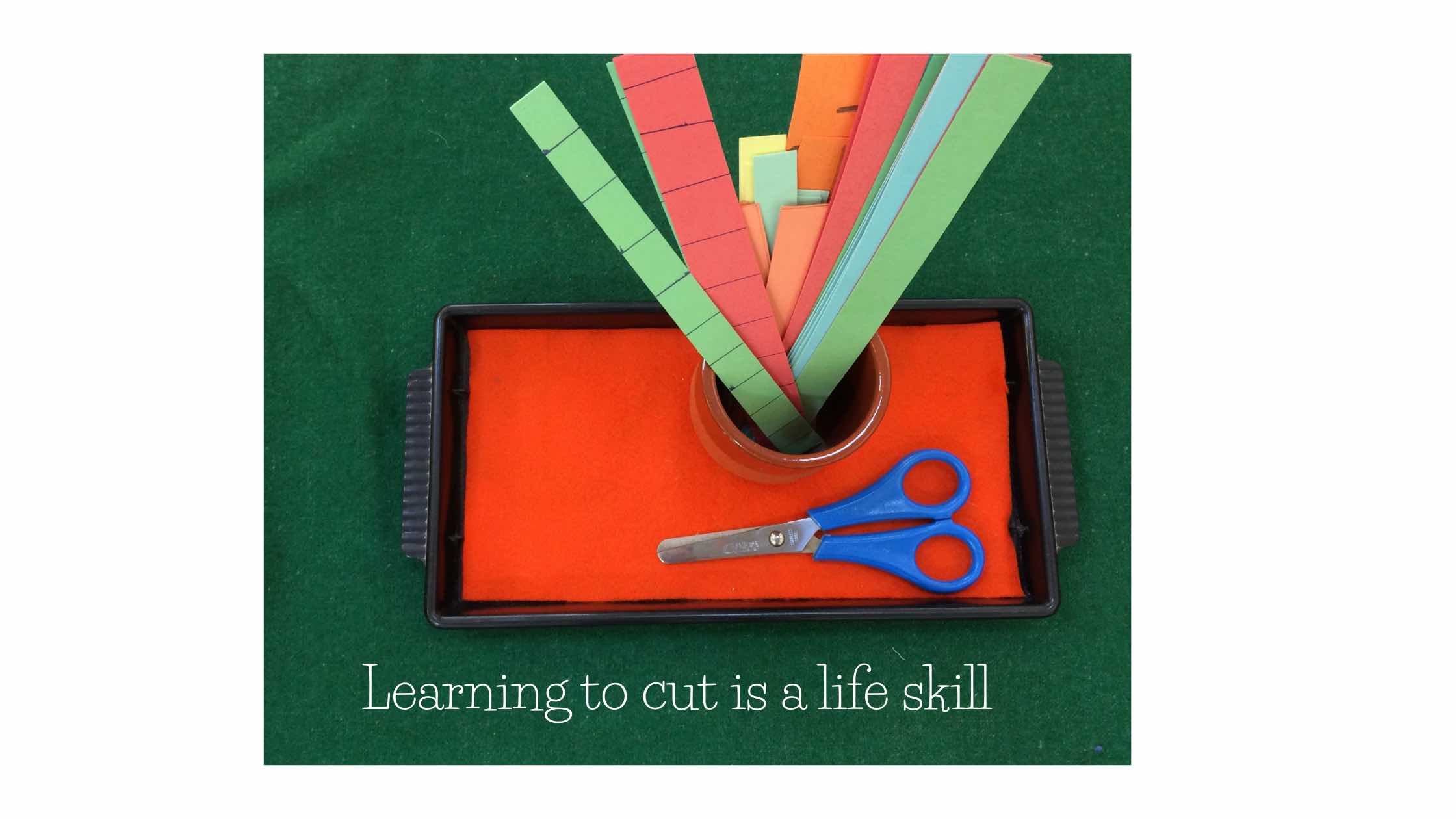 PL cutting