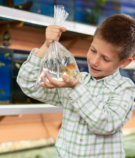 Boy with fish