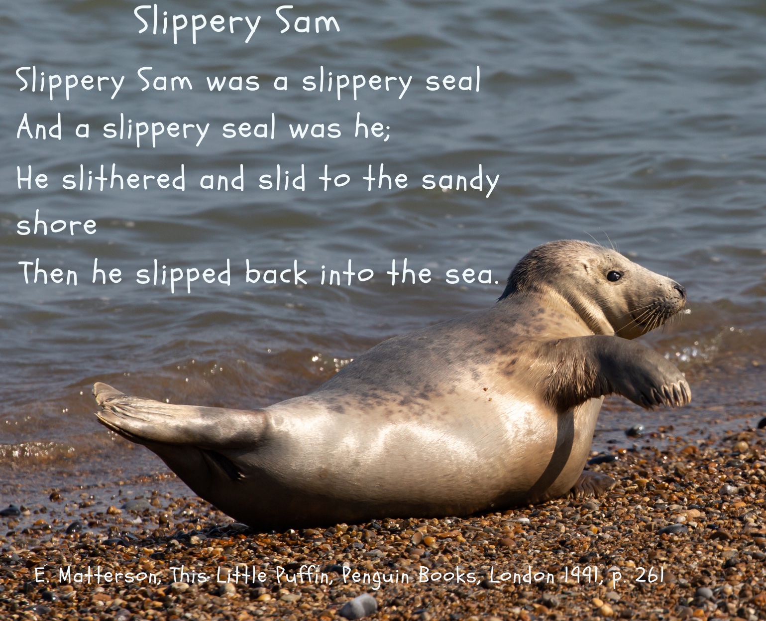 Slippery Sam
