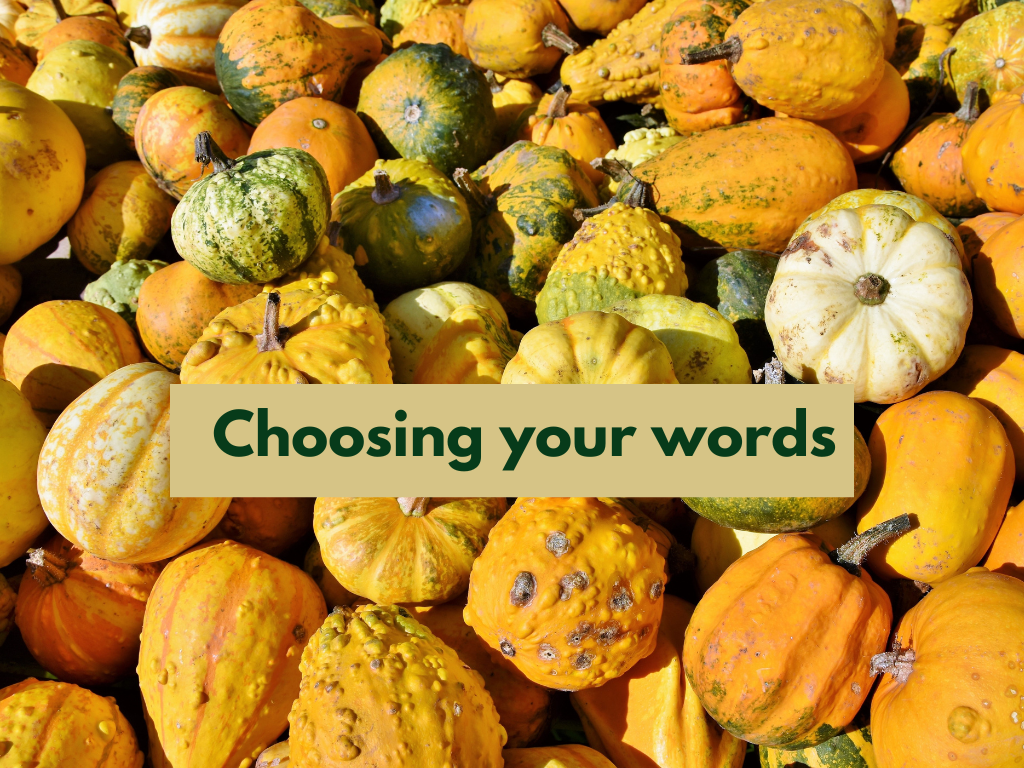 different squashes